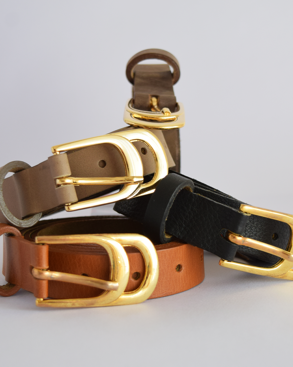 Three leather dog collars with gold buckles on a light gray background