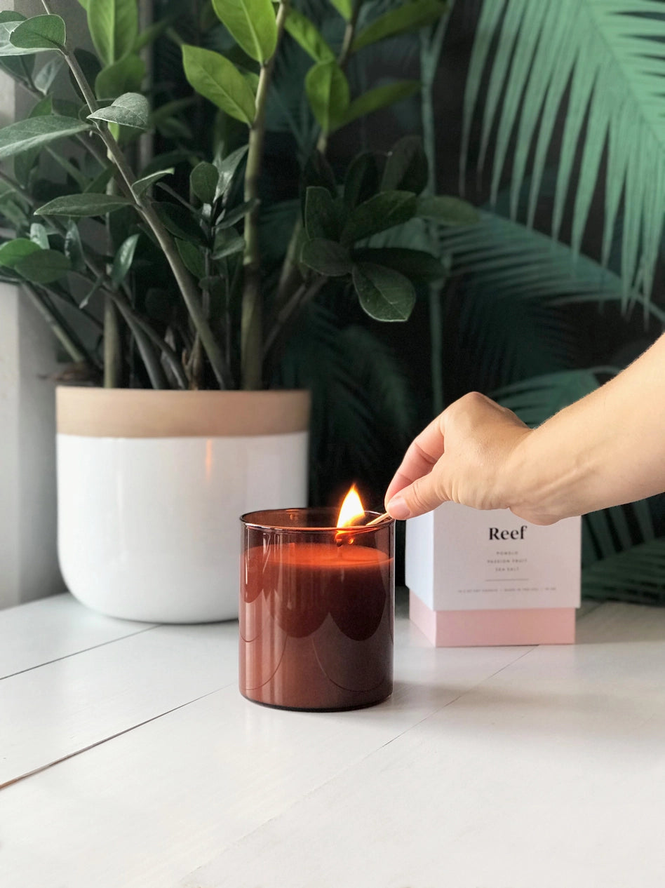 Photo of the Botanica Reef scented candle being lit on a counter in front of plants.