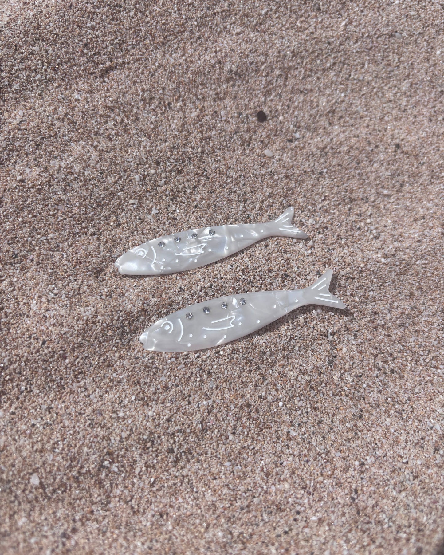 Two fish-shaped objects on a sandy surface
