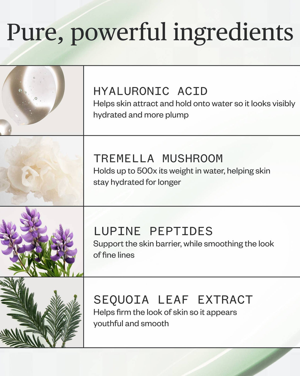 Forest Water Hyaluronic Serum