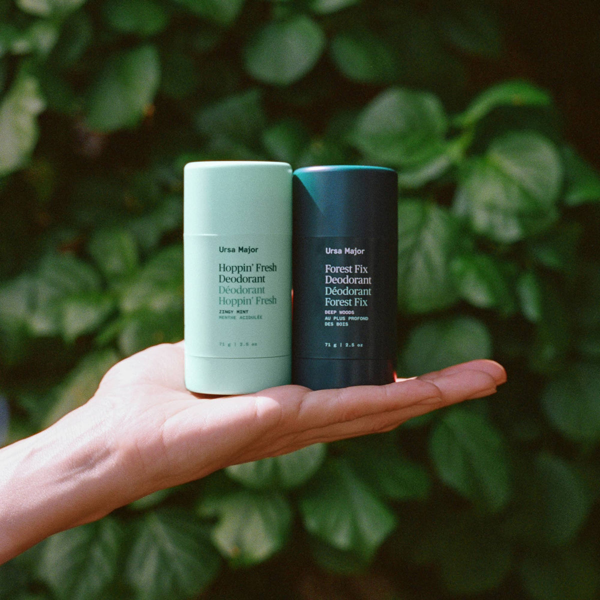 Two deodorant sticks held in a hand with a green leafy background