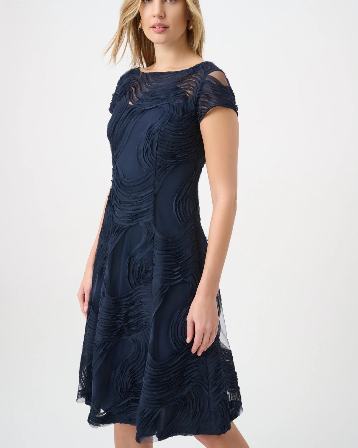 Embroidered Swirl Fit & Flare Dress