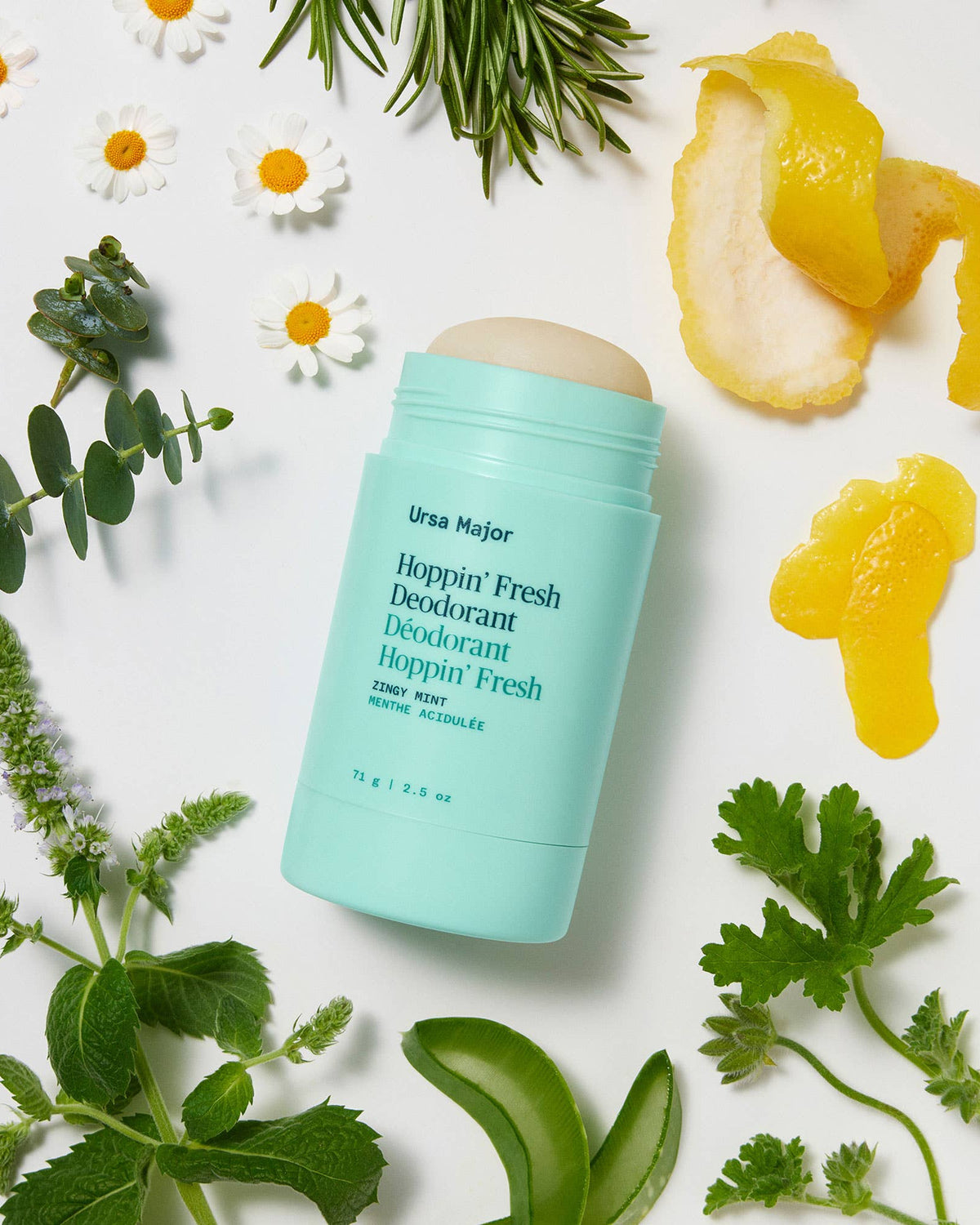 Ursa Major deodorant stick surrounded by green leaves and flowers on a white background