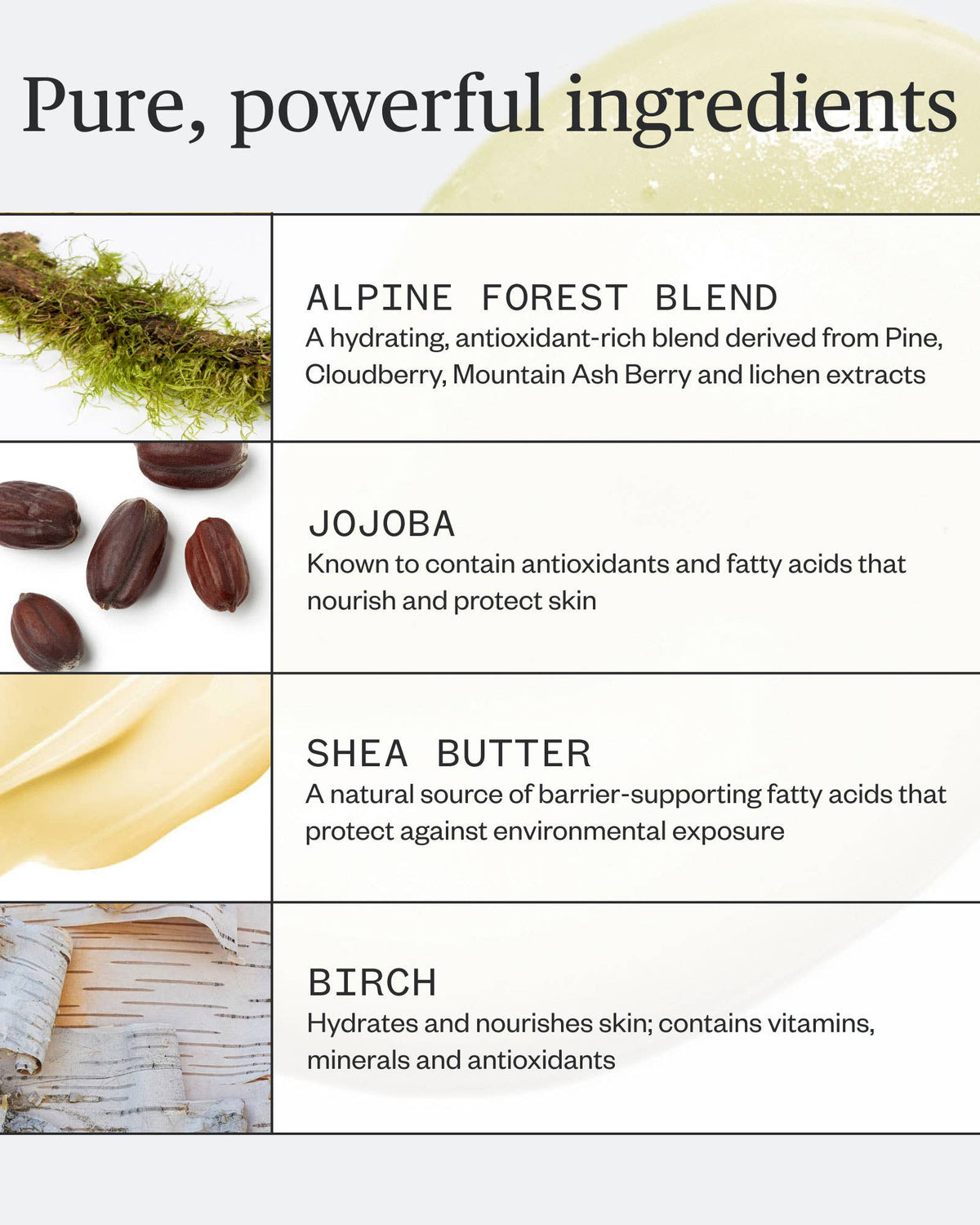 List of skincare ingredients with images and descriptions on a white background