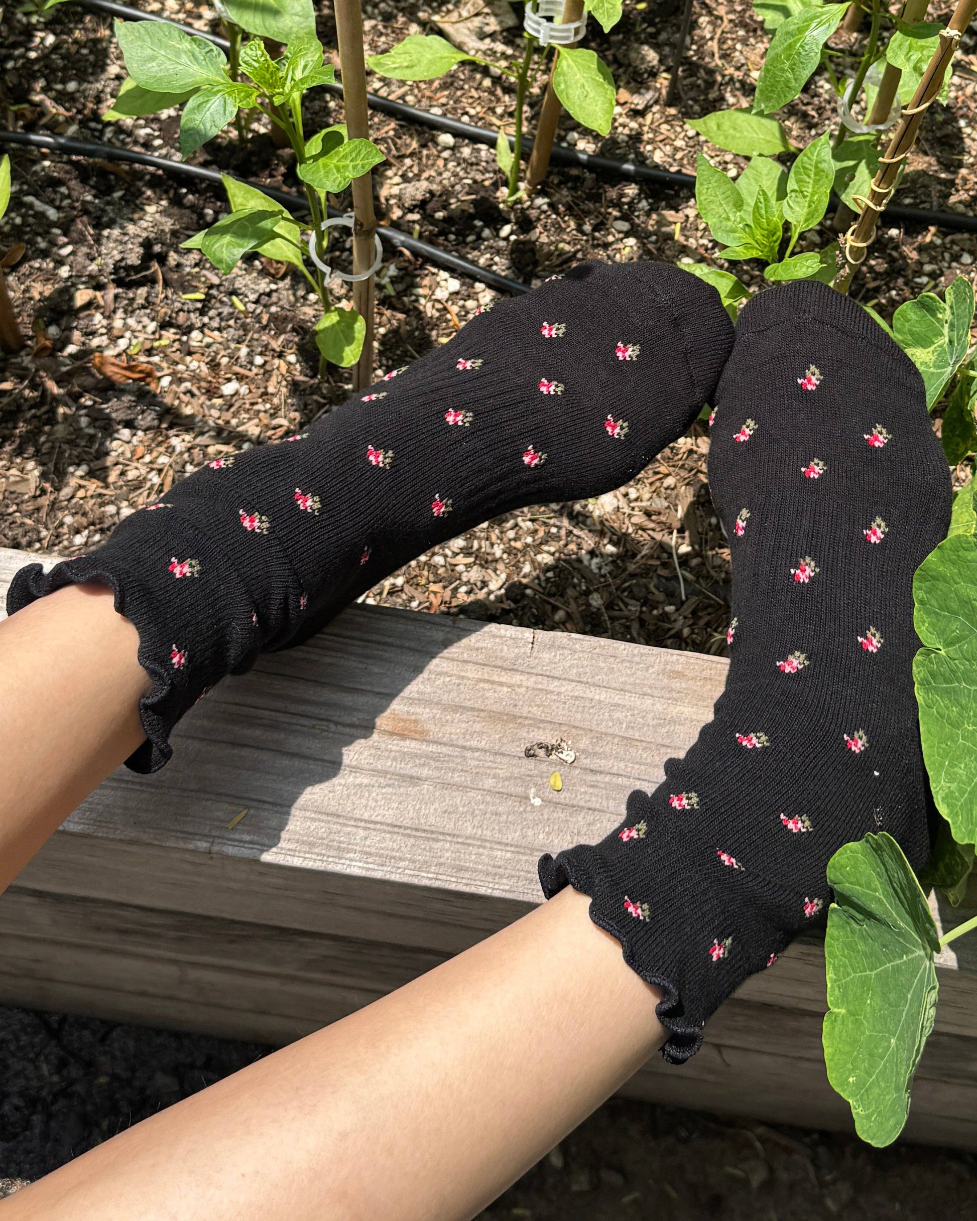 Person wearing black socks with pink patterns in a garden setting