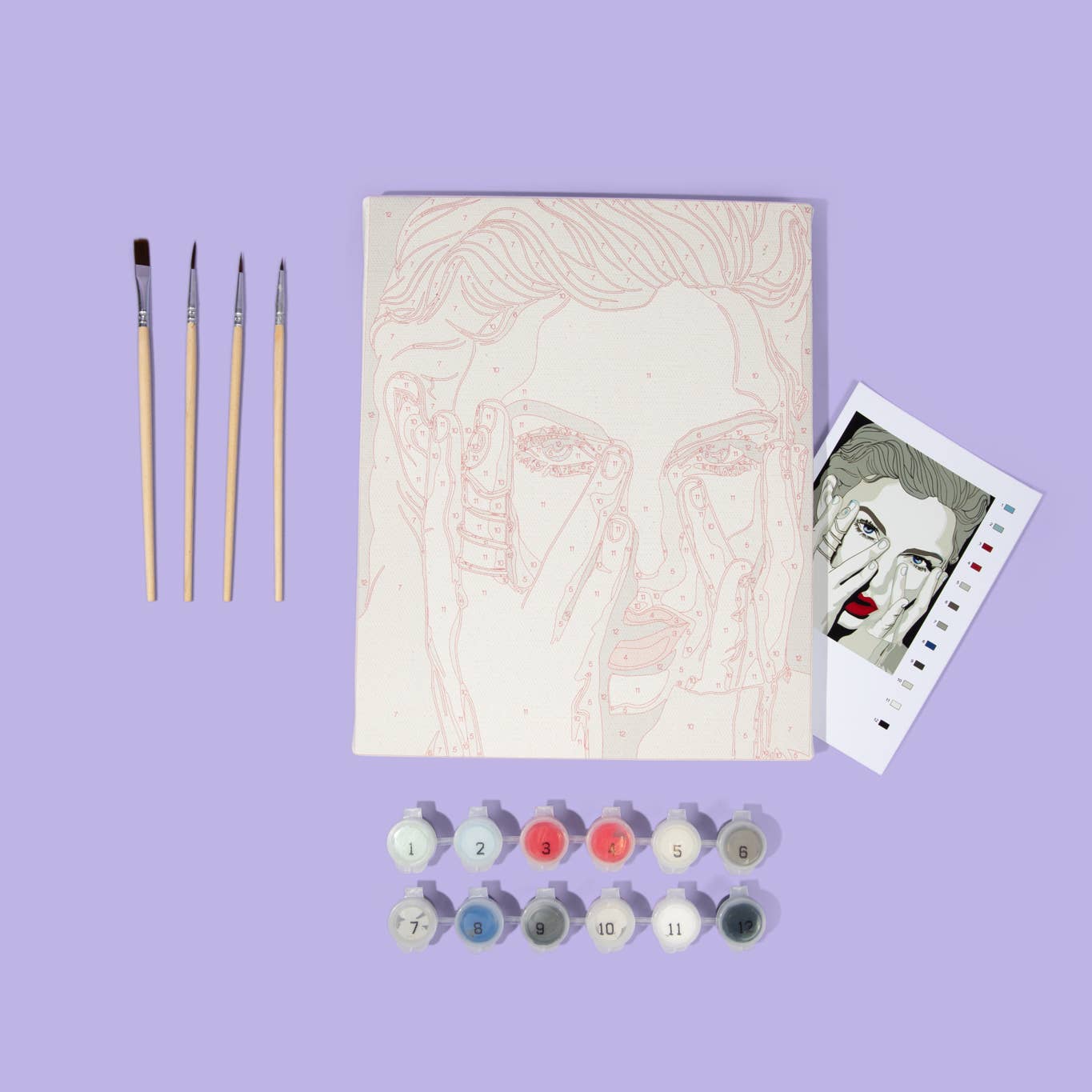 Taylor Swift Paint By Number Kits