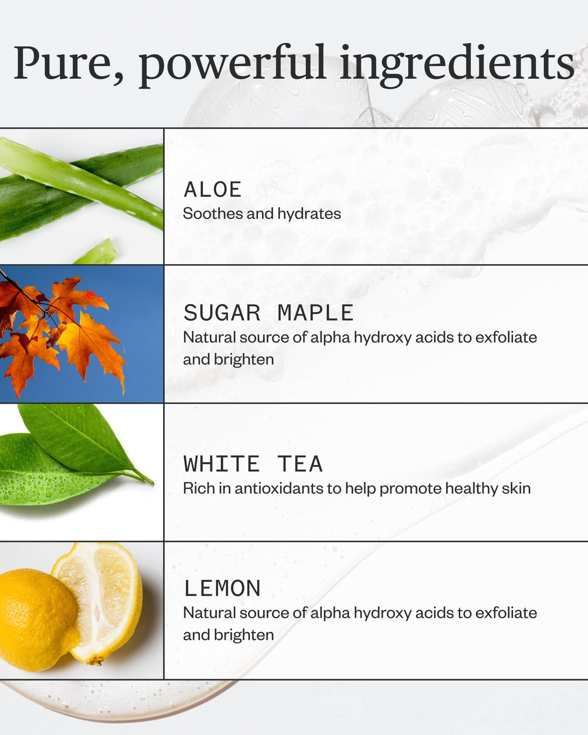 List of skincare ingredients with corresponding images and descriptions on a white background.