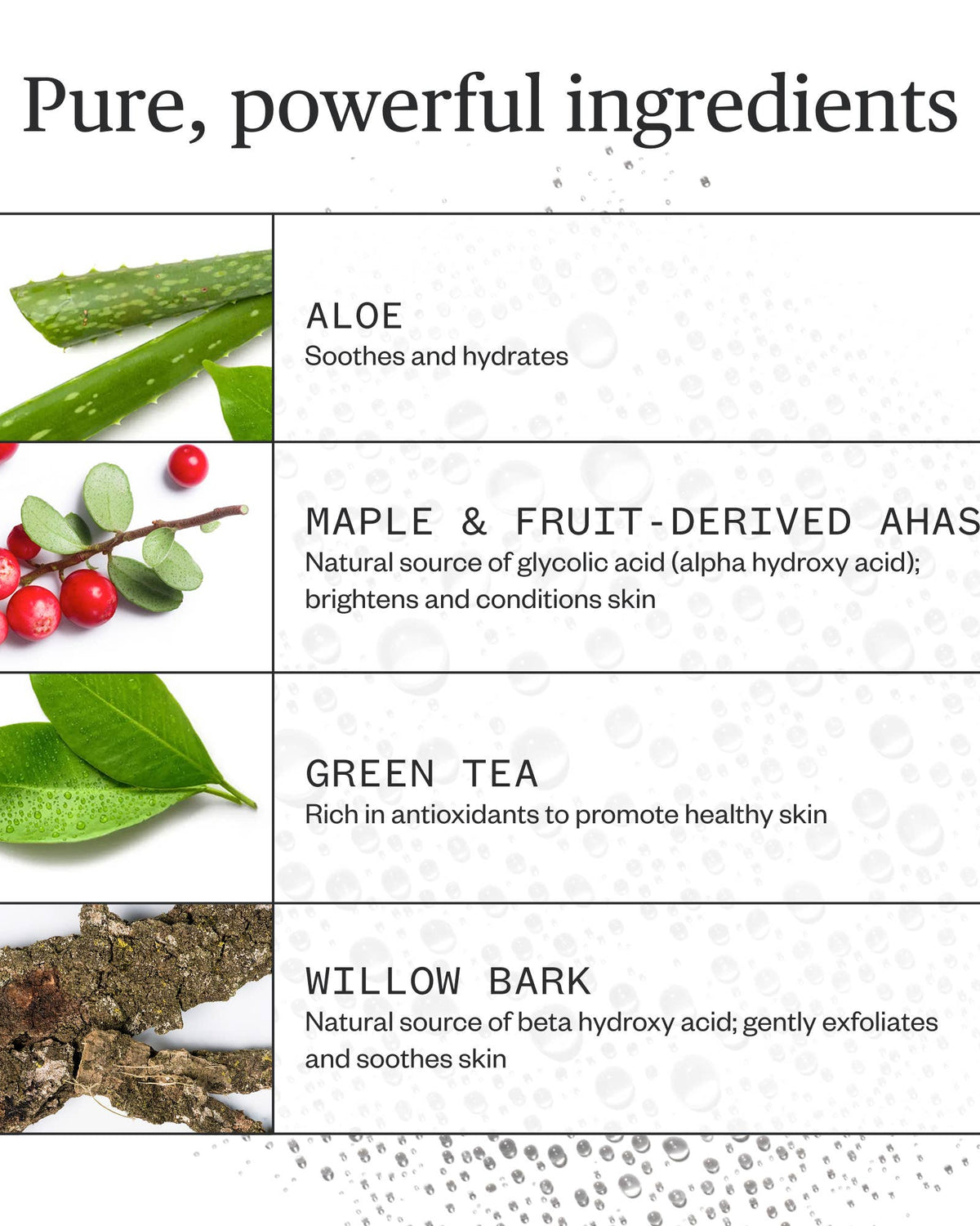 List of pure, powerful ingredients with corresponding images and descriptions on a white background.