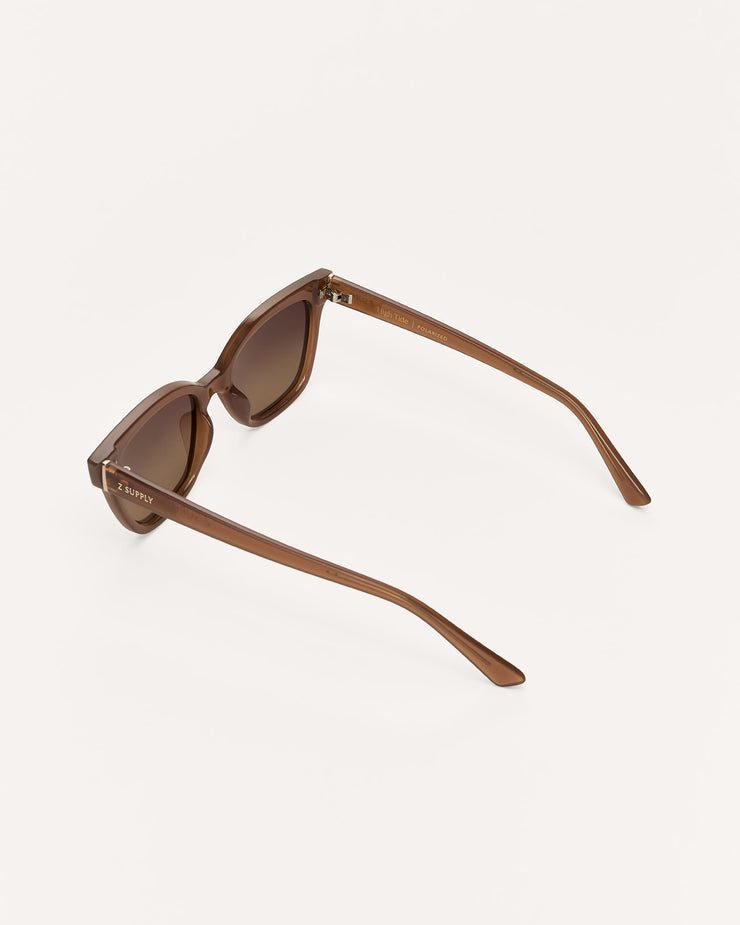 Brown sunglasses on a white background