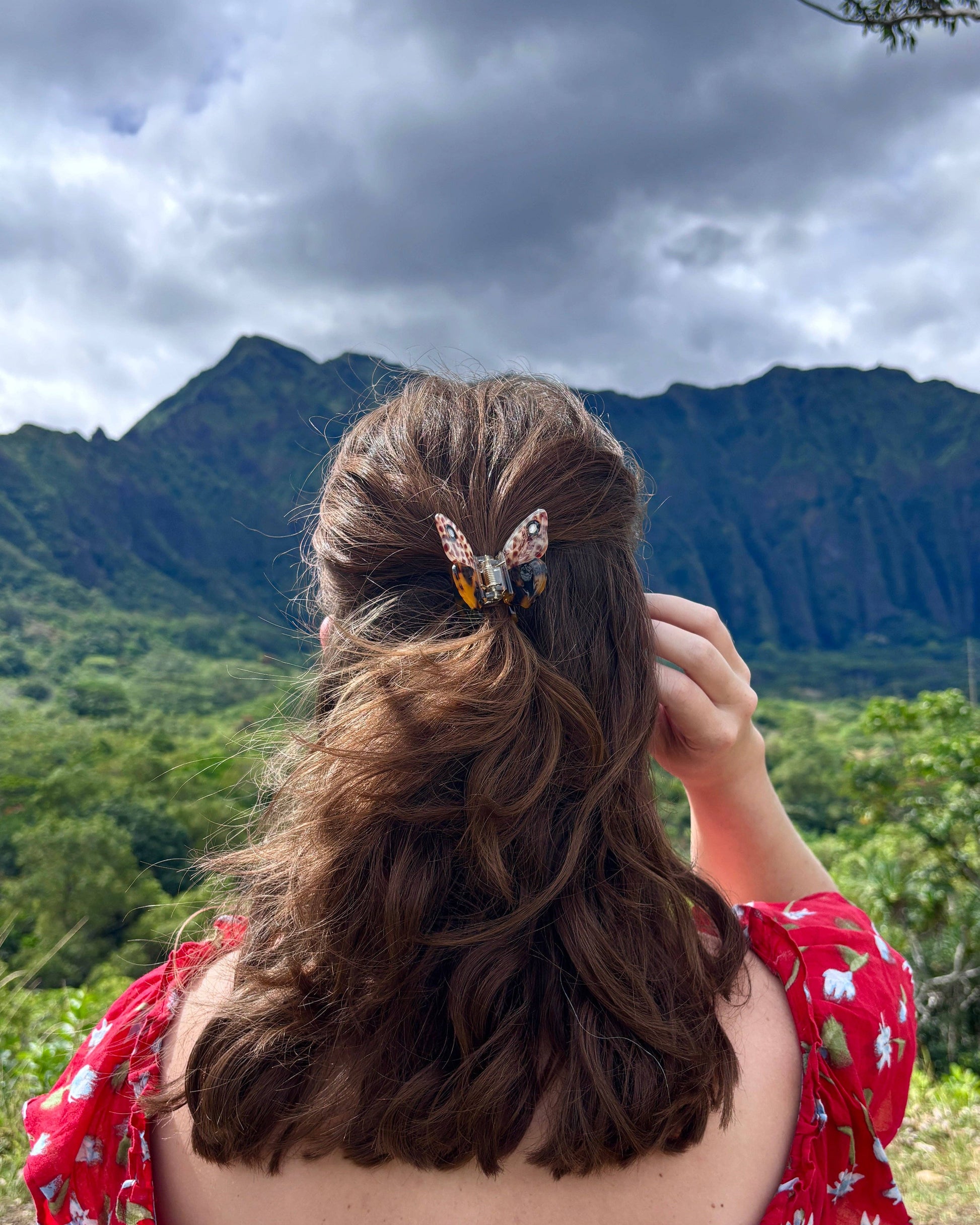 Person with a butterfly hair clip in their hair, standing in front of a mountainous landscape.